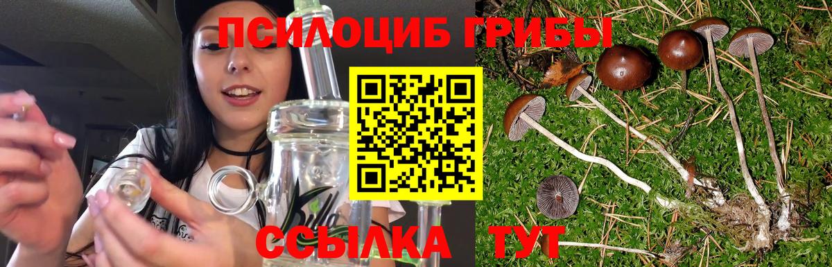 Галлюциногенные грибы мицелий  Вход с VPN  Белгород  наркотики  Галлюциногенные грибы Cubensis 